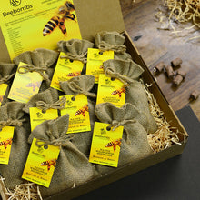 Load image into Gallery viewer, Beebombs Native Wildflower 1 pack