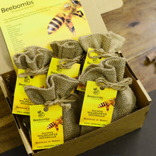 Load image into Gallery viewer, Beebombs Native Wildflower 1 pack
