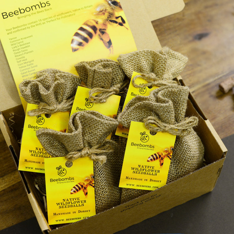 Beebombs Native Wildflower 1 pack